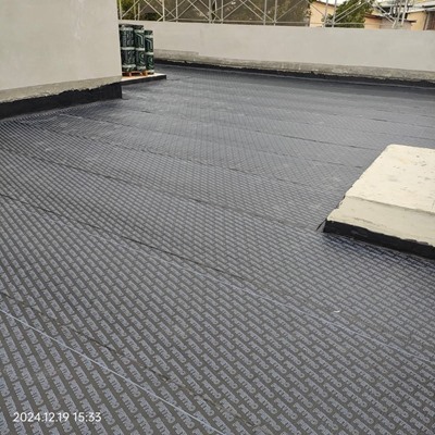 台中王先生 預鋪式防水毯抓漏防水工程