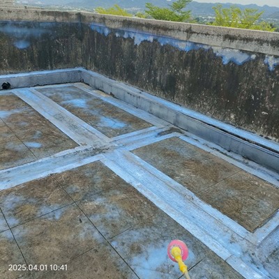南投林先生 屋頂防水工程 隔熱工程