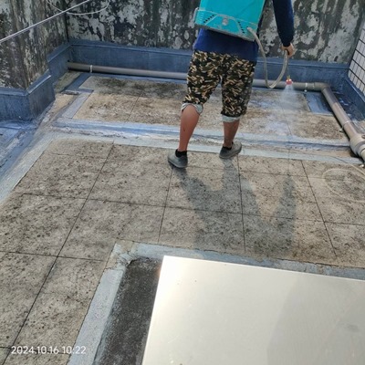 南投莊先生 屋頂防水工程 隔熱工程