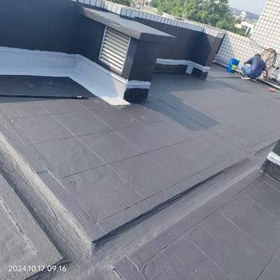南投莊先生 屋頂防水工程 隔熱工程
